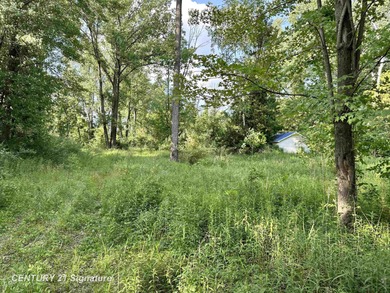 (private lake, pond, creek) Acreage For Sale in Beaverton Michigan