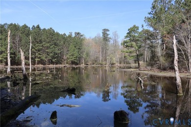 This beautiful 20-acre tract offers the perfect blend of privacy - photo 12
