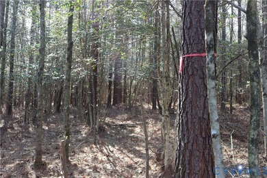 This beautiful 20-acre tract offers the perfect blend of privacy - photo 13