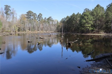 This beautiful 20-acre tract offers the perfect blend of privacy - photo 15