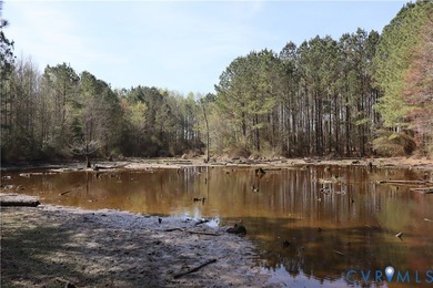 This beautiful 20-acre tract offers the perfect blend of privacy - photo 16