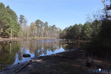 This beautiful 20-acre tract offers the perfect blend of privacy - photo 17