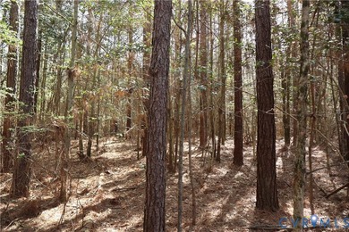 This beautiful 20-acre tract offers the perfect blend of privacy - photo 18