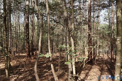 This beautiful 20-acre tract offers the perfect blend of privacy - photo 19