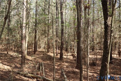 This beautiful 20-acre tract offers the perfect blend of privacy - photo 20