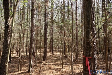 This beautiful 20-acre tract offers the perfect blend of privacy - photo 21
