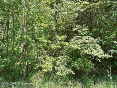 Lake Acreage For Sale in Beaverton, Michigan
