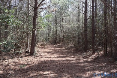 This beautiful 20-acre tract offers the perfect blend of privacy - photo 22