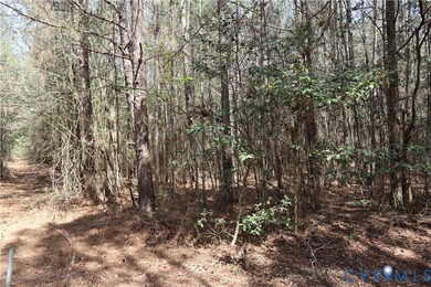 This beautiful 20-acre tract offers the perfect blend of privacy - photo 23