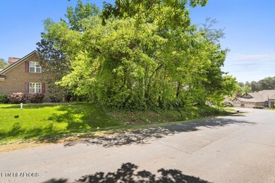 MOTIVATED SELLER! Bring All Offers. Vacant lot next door - photo 40