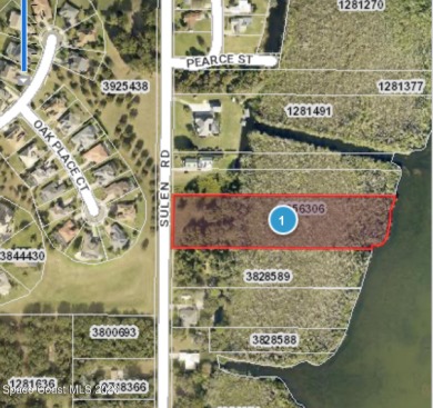 Lake Griffin Acreage For Sale in Deland Florida