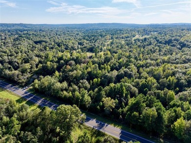 Lake Lot For Sale in Larue, Texas