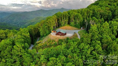 90+ Acres! Three Homes! Multiple Future Build Sites! A truly - photo 18