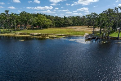Lake Acreage For Sale in Lutz, Florida