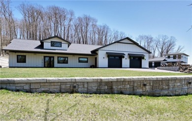 Long Lake - Washburn County Home For Sale in Birchwood Wisconsin