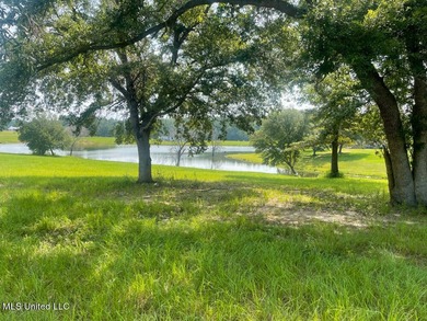 Lake front lots in a beautiful new Subdivision on Highway 63 - photo 19