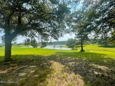 Lake front lots in a beautiful new Subdivision on Highway 63 - photo 21