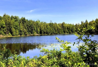 Lake Acreage For Sale in Marquette, Michigan