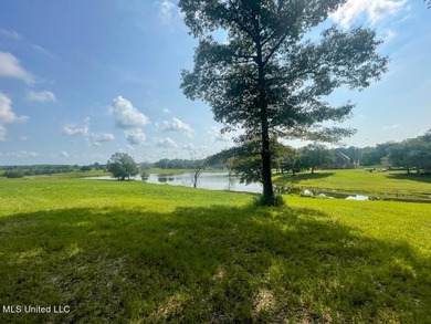 Lake front lots in a beautiful new Subdivision on Highway 63 - photo 22