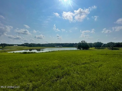 Lake front lots in a beautiful new Subdivision on Highway 63 - photo 28