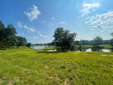 Lake front lots in a beautiful new Subdivision on Highway 63 - photo 32