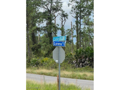Lehigh Acres Area Lot For Sale in Lehigh Acres Florida