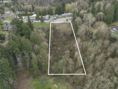 Columbia River - Columbia County Lot For Sale in Rainier Oregon