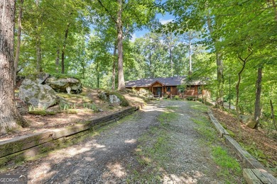 Move-In Ready Lake-View Retreat on Two Private Lots in Turtle - photo 1