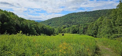 94 ACRES WITH PANORAMIC VIEWS, PRIVACY AND WATER: This - photo 12
