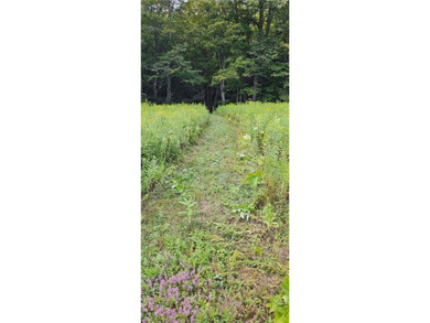 94 ACRES WITH PANORAMIC VIEWS, PRIVACY AND WATER: This - photo 13