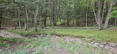 94 ACRES WITH PANORAMIC VIEWS, PRIVACY AND WATER: This - photo 14