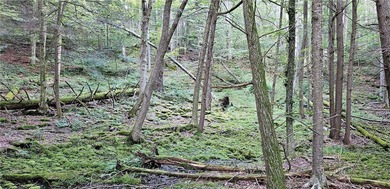 94 ACRES WITH PANORAMIC VIEWS, PRIVACY AND WATER: This - photo 15