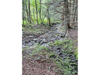 94 ACRES WITH PANORAMIC VIEWS, PRIVACY AND WATER: This - photo 17