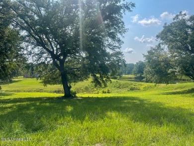 Lake front lots in a beautiful new Subdivision on Highway 63 - photo 18