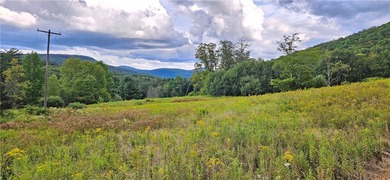 94 ACRES WITH PANORAMIC VIEWS, PRIVACY AND WATER: This - photo 19