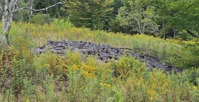 94 ACRES WITH PANORAMIC VIEWS, PRIVACY AND WATER: This - photo 20