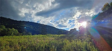 94 ACRES WITH PANORAMIC VIEWS, PRIVACY AND WATER: This - photo 24
