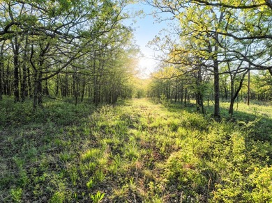 Tucked back in the rolling hills of Hughes County, this 50 +/- - photo 25
