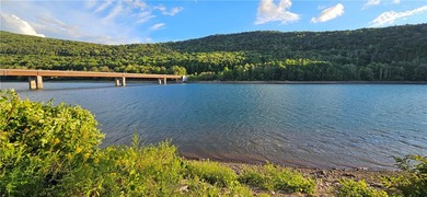94 ACRES WITH PANORAMIC VIEWS, PRIVACY AND WATER: This - photo 26