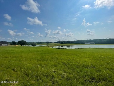 Lake front lots in a beautiful new Subdivision on Highway 63 - photo 26