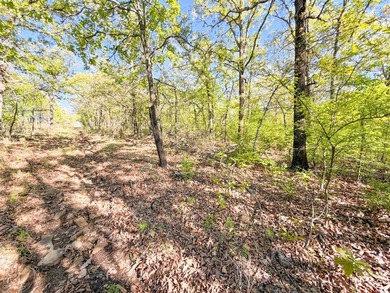 Tucked back in the rolling hills of Hughes County, this 50 +/- - photo 26