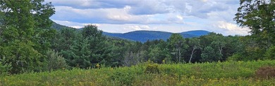 94 ACRES WITH PANORAMIC VIEWS, PRIVACY AND WATER: This - photo 27