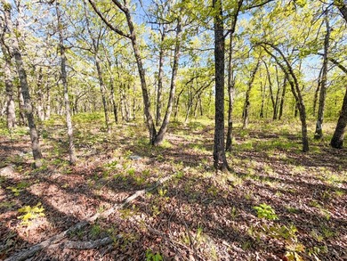 Tucked back in the rolling hills of Hughes County, this 50 +/- - photo 27