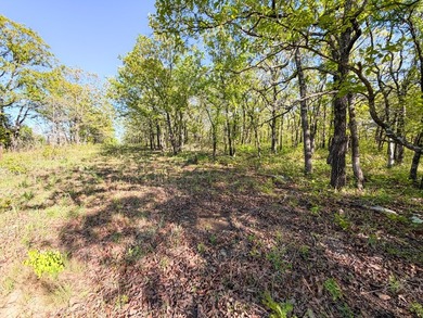 Tucked back in the rolling hills of Hughes County, this 50 +/- - photo 28