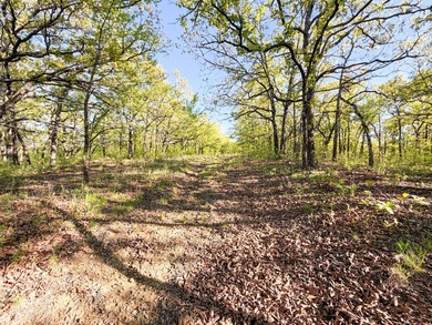 Tucked back in the rolling hills of Hughes County, this 50 +/- - photo 30