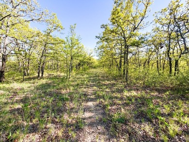 Tucked back in the rolling hills of Hughes County, this 50 +/- - photo 32