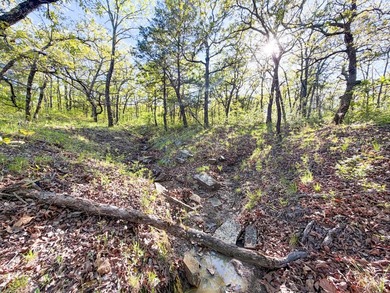 Tucked back in the rolling hills of Hughes County, this 50 +/- - photo 33