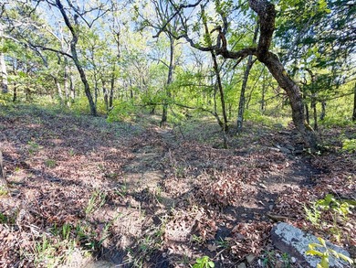 Tucked back in the rolling hills of Hughes County, this 50 +/- - photo 35