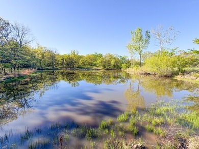 Tucked back in the rolling hills of Hughes County, this 50 +/- - photo 36