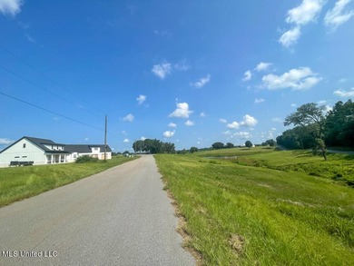 Lake front lots in a beautiful new Subdivision on Highway 63 - photo 37